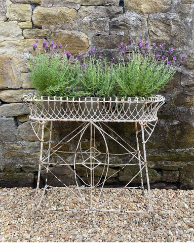 Victorian Wire Planter